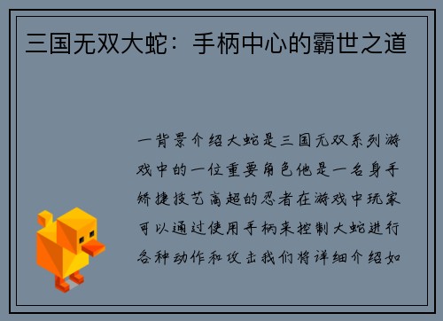 三国无双大蛇：手柄中心的霸世之道